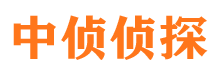 漯河市侦探调查公司